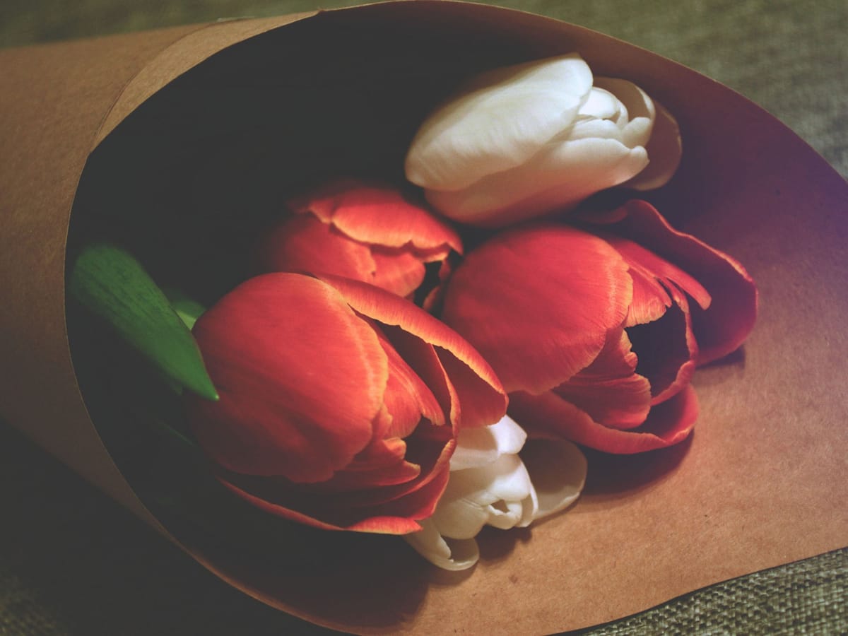 Un bouquet de tulipes rouges et blanches, à peine ouvertes, enveloppé dans du papier kraft brun.