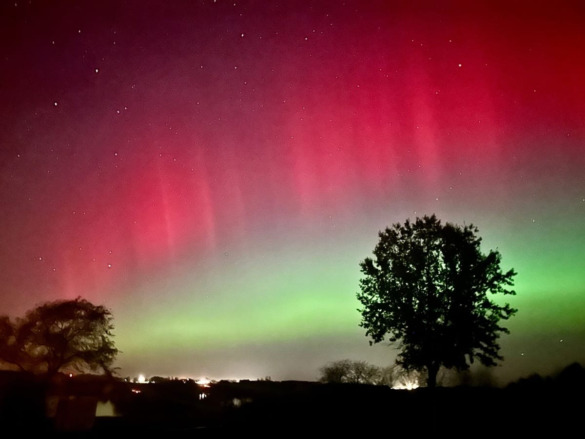 Une aurore boréale rouge et verte illumine un ciel étoilé au-dessus de deux arbres en silhouette, l’un à gauche, l’autre à droite, séparés par une plaine sombre.