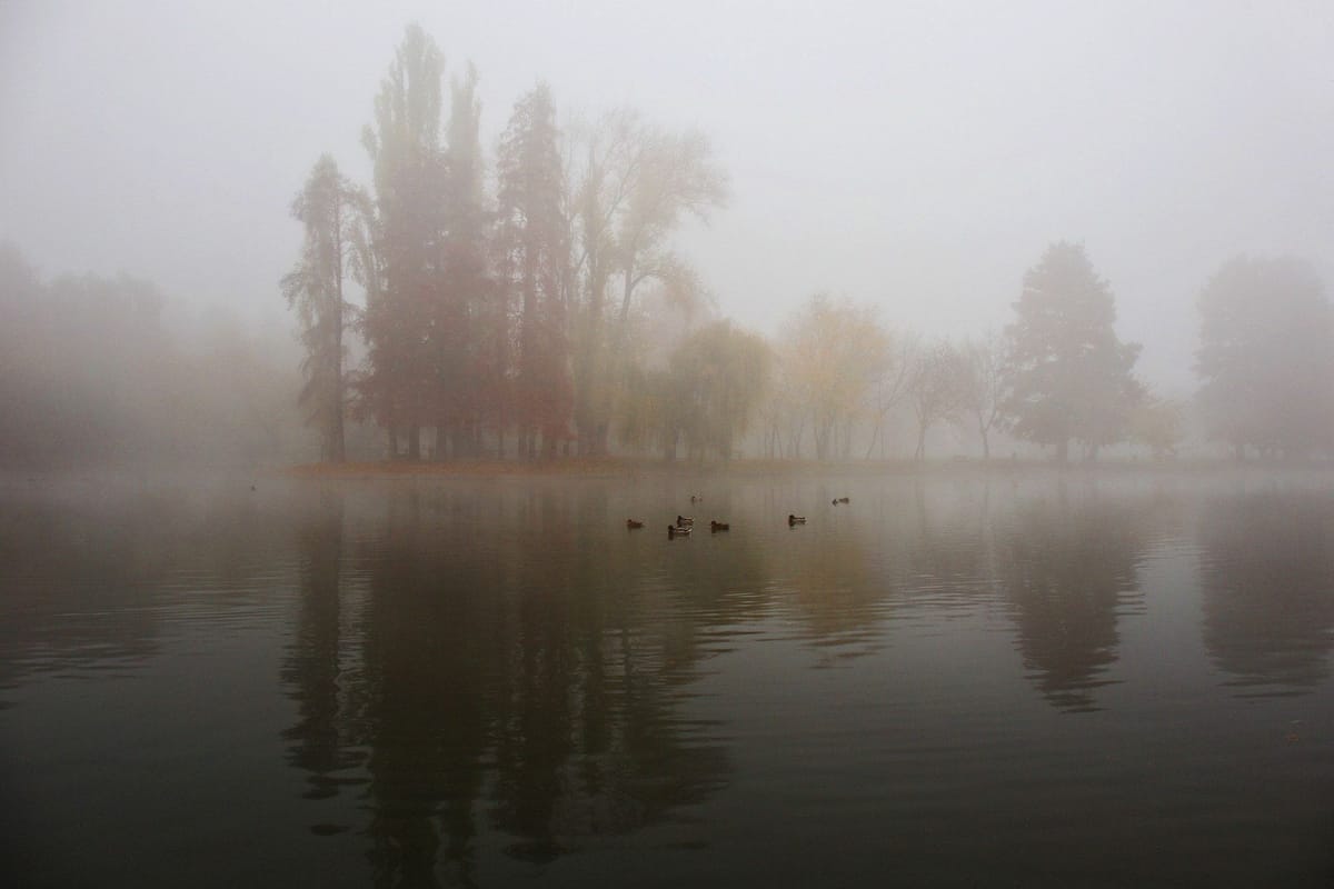 Un lac immobile dans un épais brouillard d’automne ; des peupliers roux et des saules se reflètent dans l’eau sombre, où nagent quelques canards.